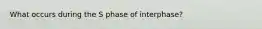 What occurs during the S phase of interphase?