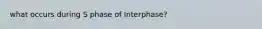 what occurs during S phase of Interphase?