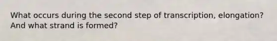 What occurs during the second step of transcription, elongation? And what strand is formed?