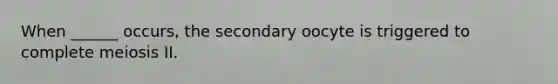 When ______ occurs, the secondary oocyte is triggered to complete meiosis II.