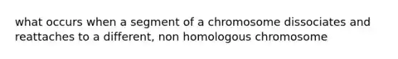 what occurs when a segment of a chromosome dissociates and reattaches to a different, non homologous chromosome