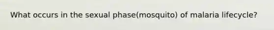 What occurs in the sexual phase(mosquito) of malaria lifecycle?