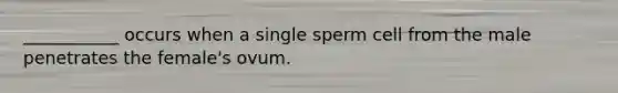 ___________ occurs when a single sperm cell from the male penetrates the female's ovum.