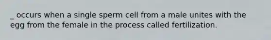 _ occurs when a single sperm cell from a male unites with the egg from the female in the process called fertilization.