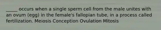 _____ occurs when a single sperm cell from the male unites with an ovum (egg) in the female's fallopian tube, in a process called fertilization. Meiosis Conception Ovulation Mitosis