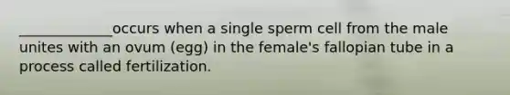 _____________occurs when a single sperm cell from the male unites with an ovum (egg) in the female's fallopian tube in a process called fertilization.