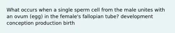 What occurs when a single sperm cell from the male unites with an ovum (egg) in the female's fallopian tube? development conception production birth