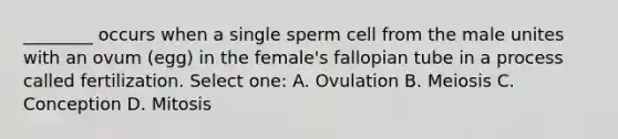 ________ occurs when a single sperm cell from the male unites with an ovum (egg) in the female's fallopian tube in a process called fertilization. Select one: A. Ovulation B. Meiosis C. Conception D. Mitosis