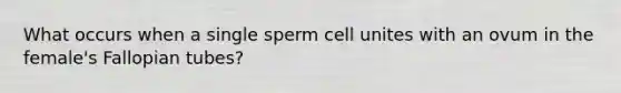 What occurs when a single sperm cell unites with an ovum in the female's Fallopian tubes?