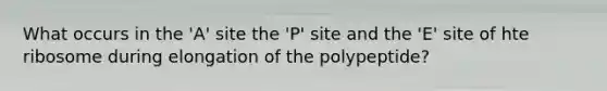 What occurs in the 'A' site the 'P' site and the 'E' site of hte ribosome during elongation of the polypeptide?