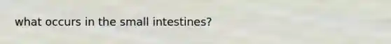 what occurs in the small intestines?