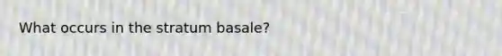 What occurs in the stratum basale?