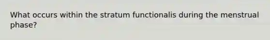 What occurs within the stratum functionalis during the menstrual phase?