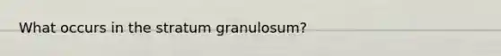 What occurs in the stratum granulosum?