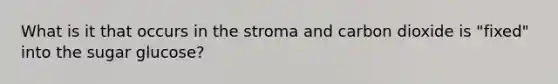 What is it that occurs in the stroma and carbon dioxide is "fixed" into the sugar glucose?