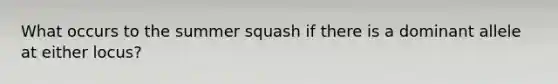 What occurs to the summer squash if there is a dominant allele at either locus?