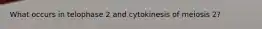 What occurs in telophase 2 and cytokinesis of meiosis 2?