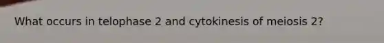 What occurs in telophase 2 and cytokinesis of meiosis 2?