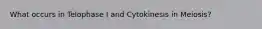 What occurs in Telophase I and Cytokinesis in Meiosis?