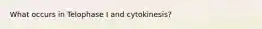 What occurs in Telophase I and cytokinesis?