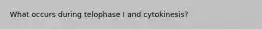 What occurs during telophase I and cytokinesis?