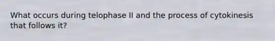 What occurs during telophase II and the process of cytokinesis that follows it?