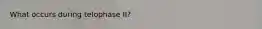 What occurs during telophase II?