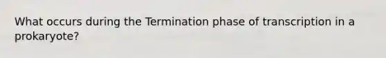 What occurs during the Termination phase of transcription in a prokaryote?