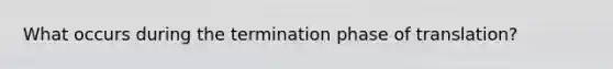 What occurs during the termination phase of translation?