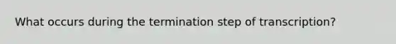 What occurs during the termination step of transcription?