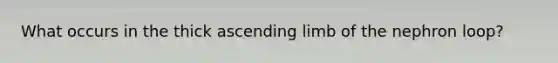 What occurs in the thick ascending limb of the nephron loop?