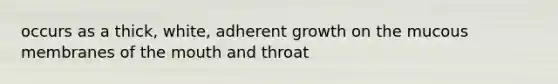 occurs as a thick, white, adherent growth on the mucous membranes of the mouth and throat