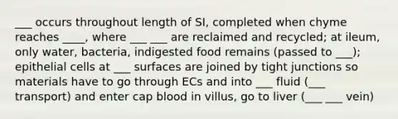 ___ occurs throughout length of SI, completed when chyme reaches ____, where ___ ___ are reclaimed and recycled; at ileum, only water, bacteria, indigested food remains (passed to ___); epithelial cells at ___ surfaces are joined by tight junctions so materials have to go through ECs and into ___ fluid (___ transport) and enter cap blood in villus, go to liver (___ ___ vein)