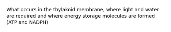 What occurs in the thylakoid membrane, where light and water are required and where energy storage molecules are formed (ATP and NADPH)