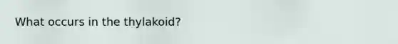 What occurs in the thylakoid?