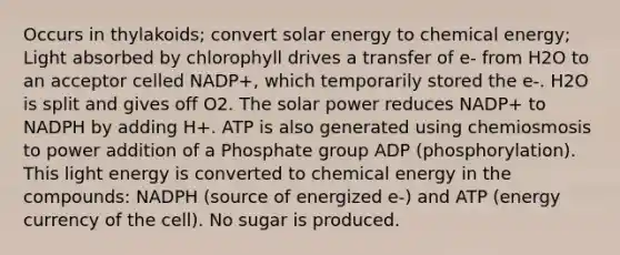 Occurs in thylakoids; convert solar energy to chemical energy; Light absorbed by chlorophyll drives a transfer of e- from H2O to an acceptor celled NADP+, which temporarily stored the e-. H2O is split and gives off O2. The solar power reduces NADP+ to NADPH by adding H+. ATP is also generated using chemiosmosis to power addition of a Phosphate group ADP (phosphorylation). This light energy is converted to chemical energy in the compounds: NADPH (source of energized e-) and ATP (energy currency of the cell). No sugar is produced.