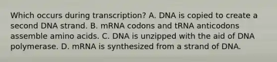 Which occurs during transcription? A. DNA is copied to create a second DNA strand. B. mRNA codons and tRNA anticodons assemble amino acids. C. DNA is unzipped with the aid of DNA polymerase. D. mRNA is synthesized from a strand of DNA.