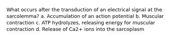 What occurs after the transduction of an electrical signal at the sarcolemma? a. Accumulation of an action potential b. Muscular contraction c. ATP hydrolyzes, releasing energy for muscular contraction d. Release of Ca2+ ions into the sarcoplasm