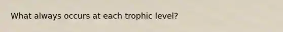 What always occurs at each trophic level?