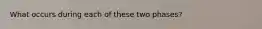 What occurs during each of these two phases?
