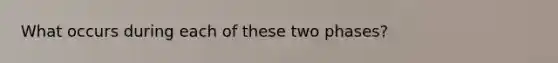 What occurs during each of these two phases?