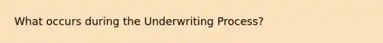 What occurs during the Underwriting Process?