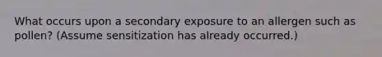 What occurs upon a secondary exposure to an allergen such as pollen? (Assume sensitization has already occurred.)