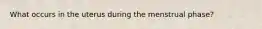 What occurs in the uterus during the menstrual phase?