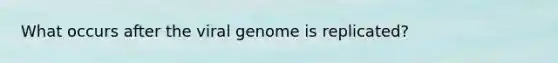 What occurs after the viral genome is replicated?