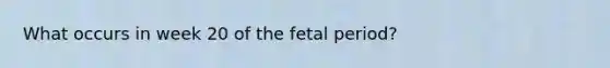 What occurs in week 20 of the fetal period?