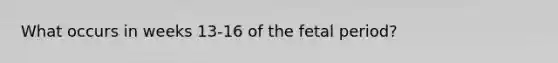 What occurs in weeks 13-16 of the fetal period?