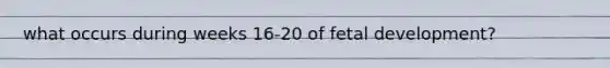 what occurs during weeks 16-20 of fetal development?