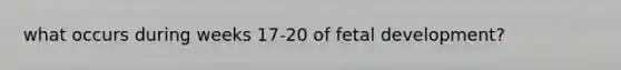 what occurs during weeks 17-20 of fetal development?