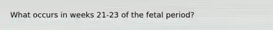 What occurs in weeks 21-23 of the fetal period?